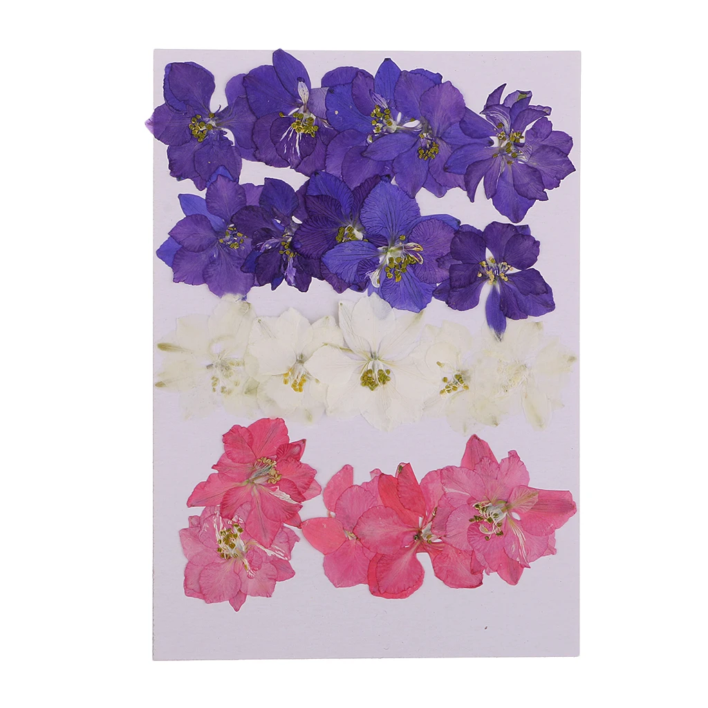 20 шт. прессованные цветы из натурального Delphinium сушеные для изготовления