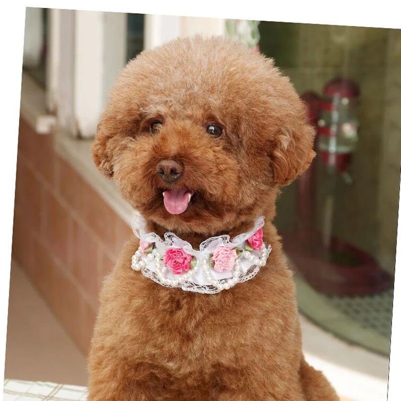 Регулируемые бусы ожерелье для домашних животных собаки щенок и кошка пряжка