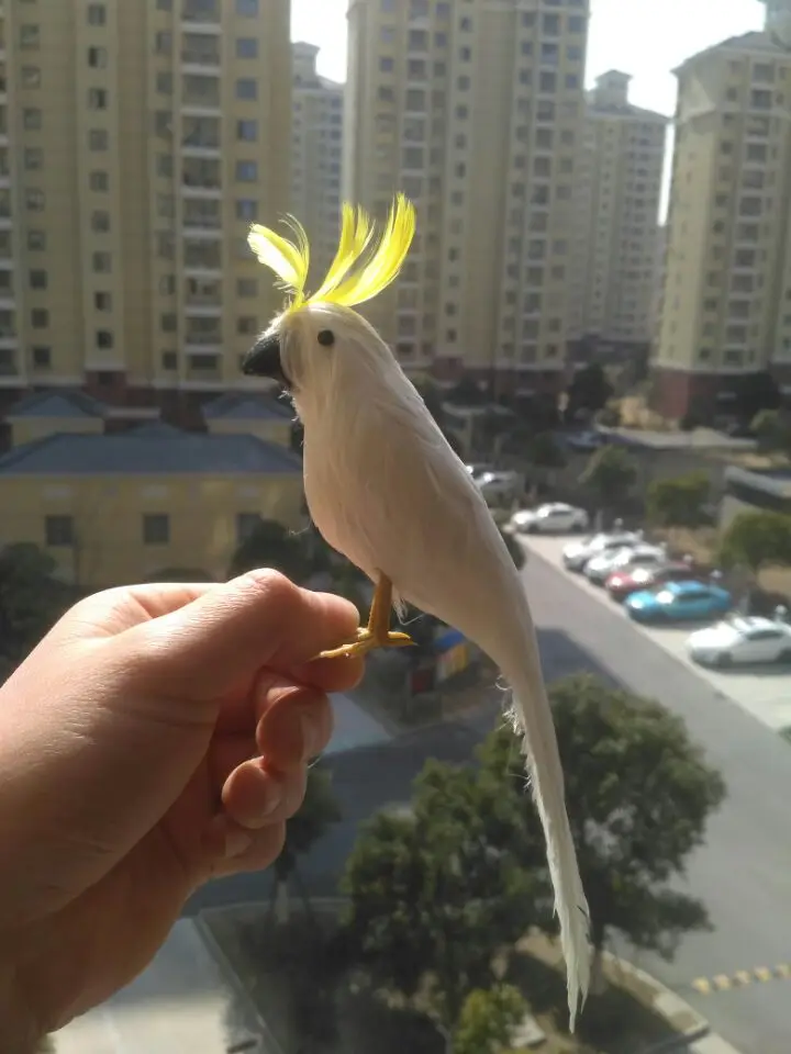 

cute simulation white bird model foam&feathers bird about 20cm