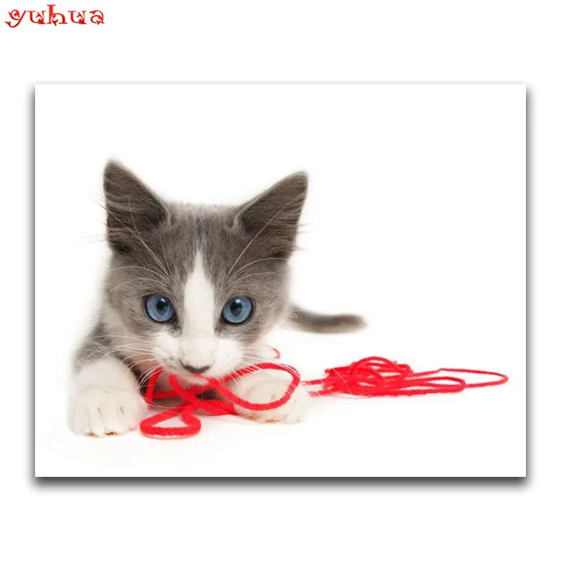 Round Diamond mosaic colorful Art 5D DIY embroidery dierlijk kitten Full Square painting Cross stitch Animal Cat | Дом и сад