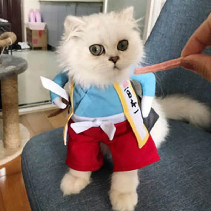 Забавная одежда для кошек, пиратский костюм, одежда для кошек, костюм корсаира, одежда для домашних животных на Хэллоуин, праздничный костюм для кошек