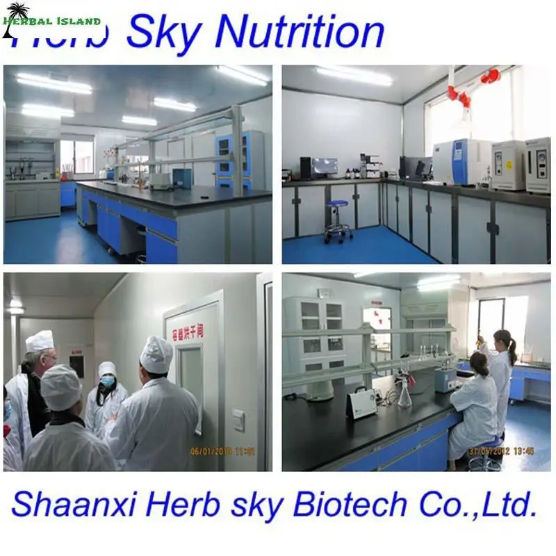 Похудения Чисто Гарциния Камбоджийская Плодов Экстракт HCA 60% 1000 г/пакет доставкой по EMS|extraction juicer|fruit preparationfruit