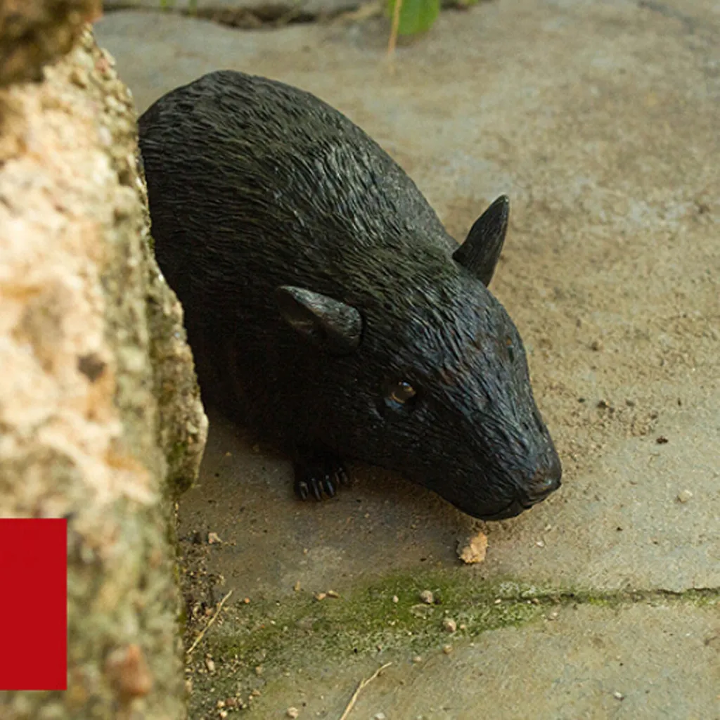 Детские хитрые игрушки инфракрасная Индукционная электрическая мышь с ПДУ игрушка для домашних животных rc игрушки с дистанционным управлением