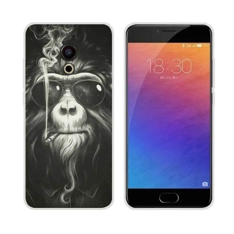 XNH01 Чехол для телефона Meizu M6 M6S M5C M5 M5S M3S M3 Note, Мягкая силиконовая термополиуретановая классная задняя крышка с рисунком для Meizu Pro 6 U10 U20, 16-й чехол - Цвет: XNH01