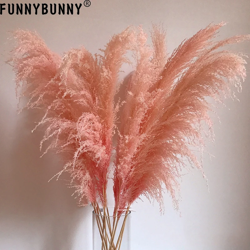FUNNYBUNNY 1 шт. розовый тростник труба тростник Сушеный Цветок шипы сушеные цветы Роскошный домашний декор любовь подарок центр штук