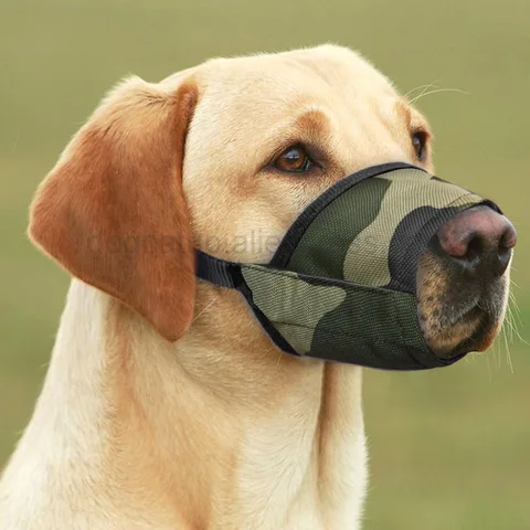 Намордник для собак, регулируемый, дышащий, против лая, укусов, для дрессировки собак, респиратор для малышей средние и большие собаки, маска для рта