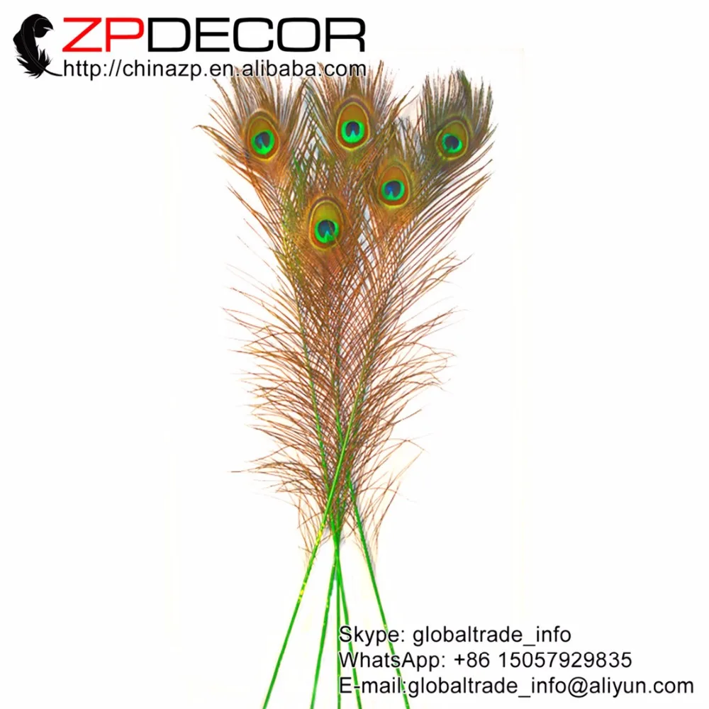 ZPDECOR 100 шт./лот 40-45 см (16-18 дюймов) красивое окрашенное зеленое перо павлина Келли