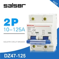 dz47 125 2p electric leakage mini circuit breaker power air switch household protect safety mcb 80100125a