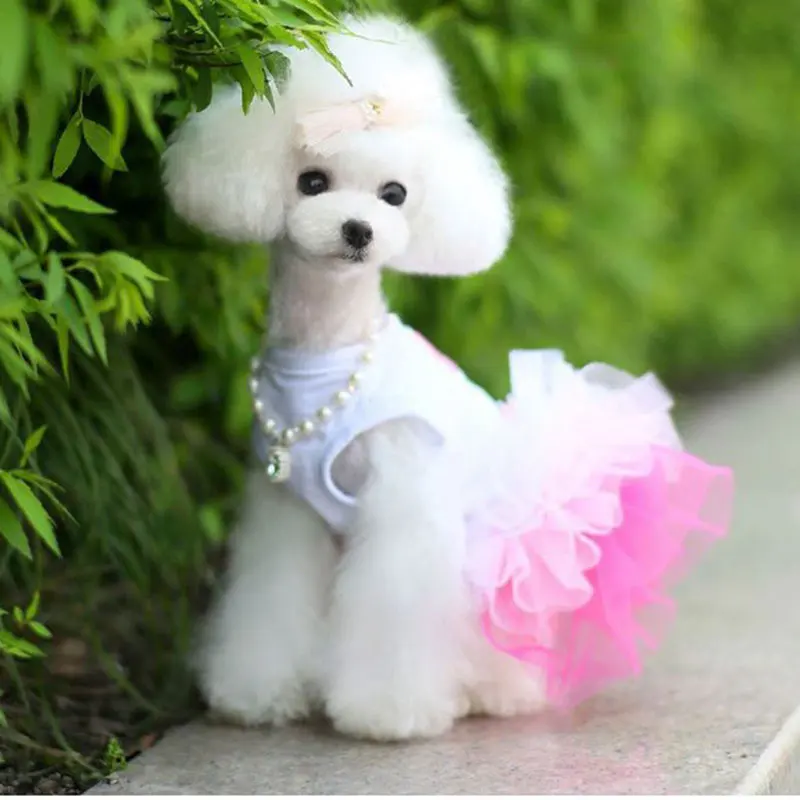 Недорогие юбки одежда для собак Chiwawa женские платья Petstyle Fafa пачка щенков