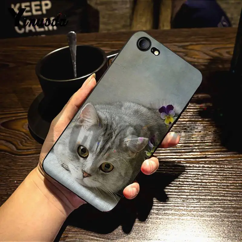 5 Yinuoda для iphone 7 6 X Чехол Британский короткошерстный Кот Топ Дизайн чехол для телефона для iphone 7 6X8 6s Plus 5 5S XS XR чехол - Цвет: 5