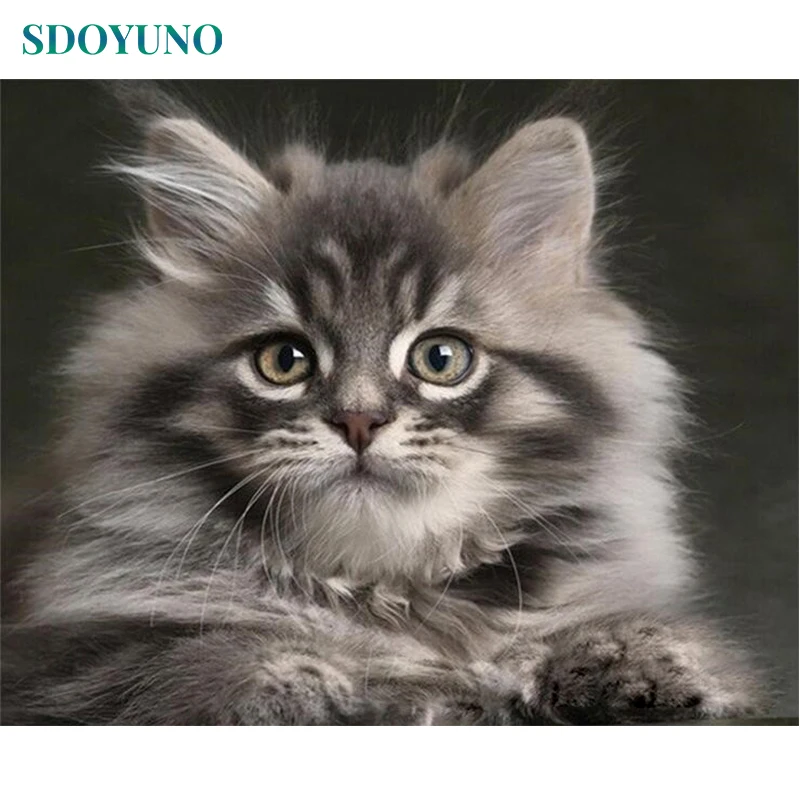 SDOYUNO рамка кошка животное Diy живопись по номерам современный настенный
