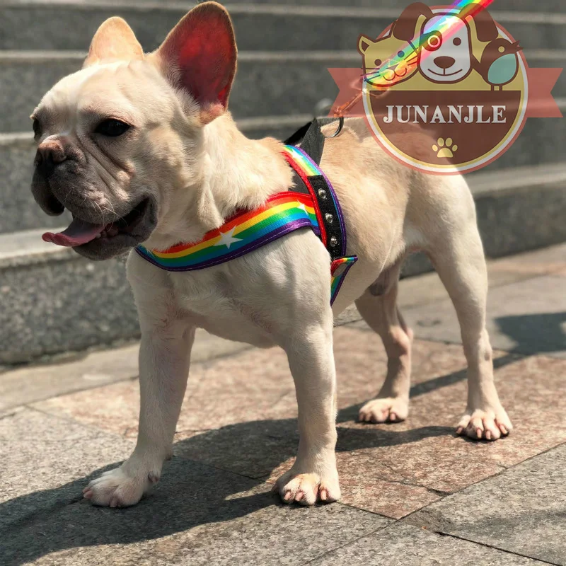 Радужный цвет ошейник для собак кошек бульдог котенок Чихуахуа щенок питбуль