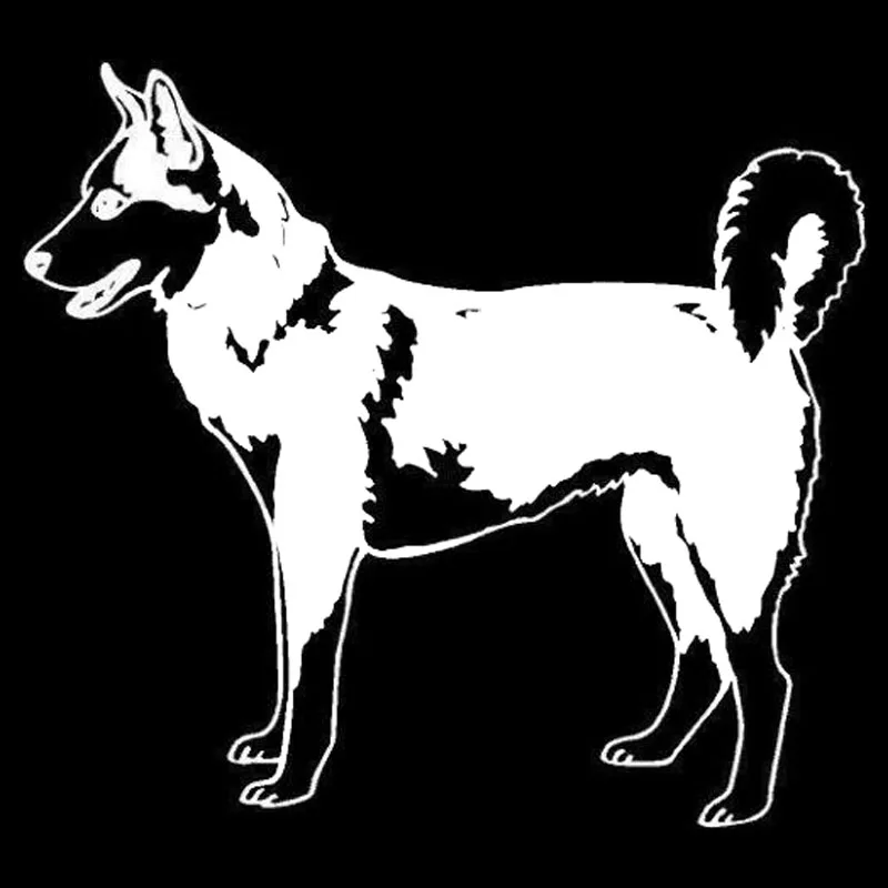 Декоративные наклейки на лобовое стекло 14*12 7 см|sticker transparent|stickers pigstickers nikon |