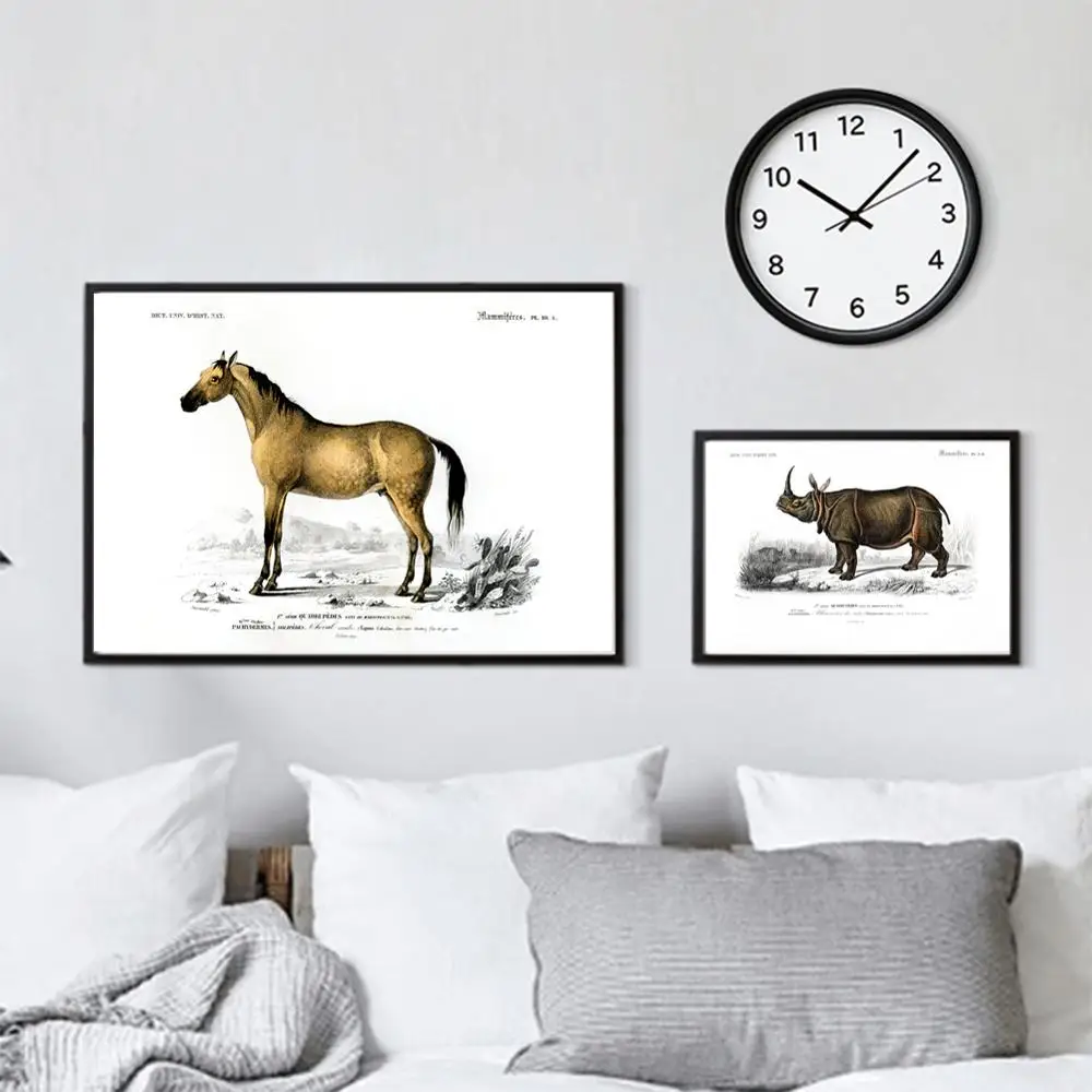 Винтажная природа история животные энциклопедия плакаты носороги лошадь