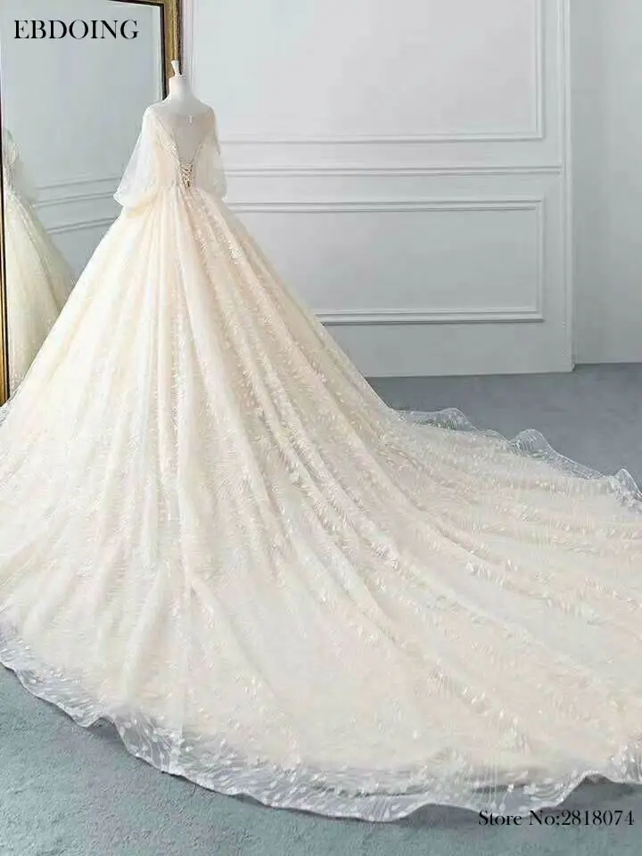 Vestidos De Novia Ball Gown Wedding Dress Scoop Neckline Sexy Backless Chapel Train Bride Dress Plus Size Wedding Grow
