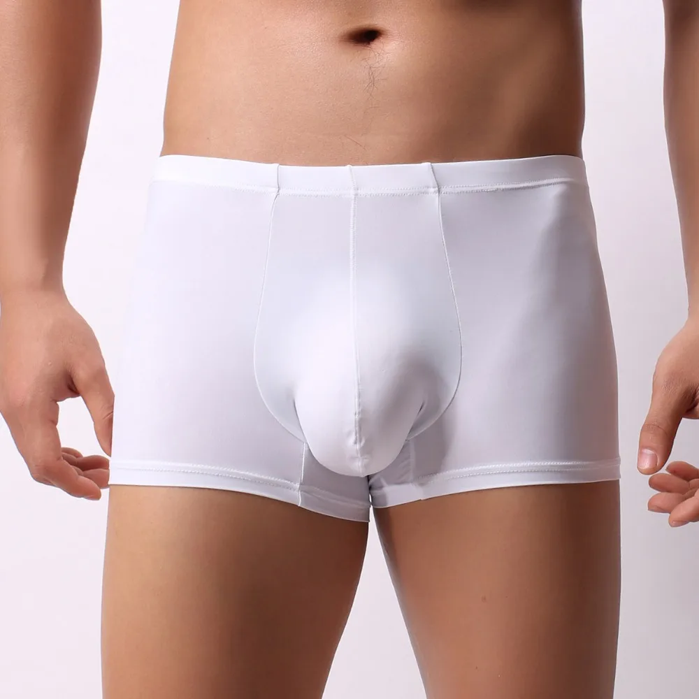 

Sexy Gay Underwear Men Boxers Shorts Thin Ice Silk Panties Man Solid Breathable U Convex Pouch Underpants Cueca masculina M-XXL