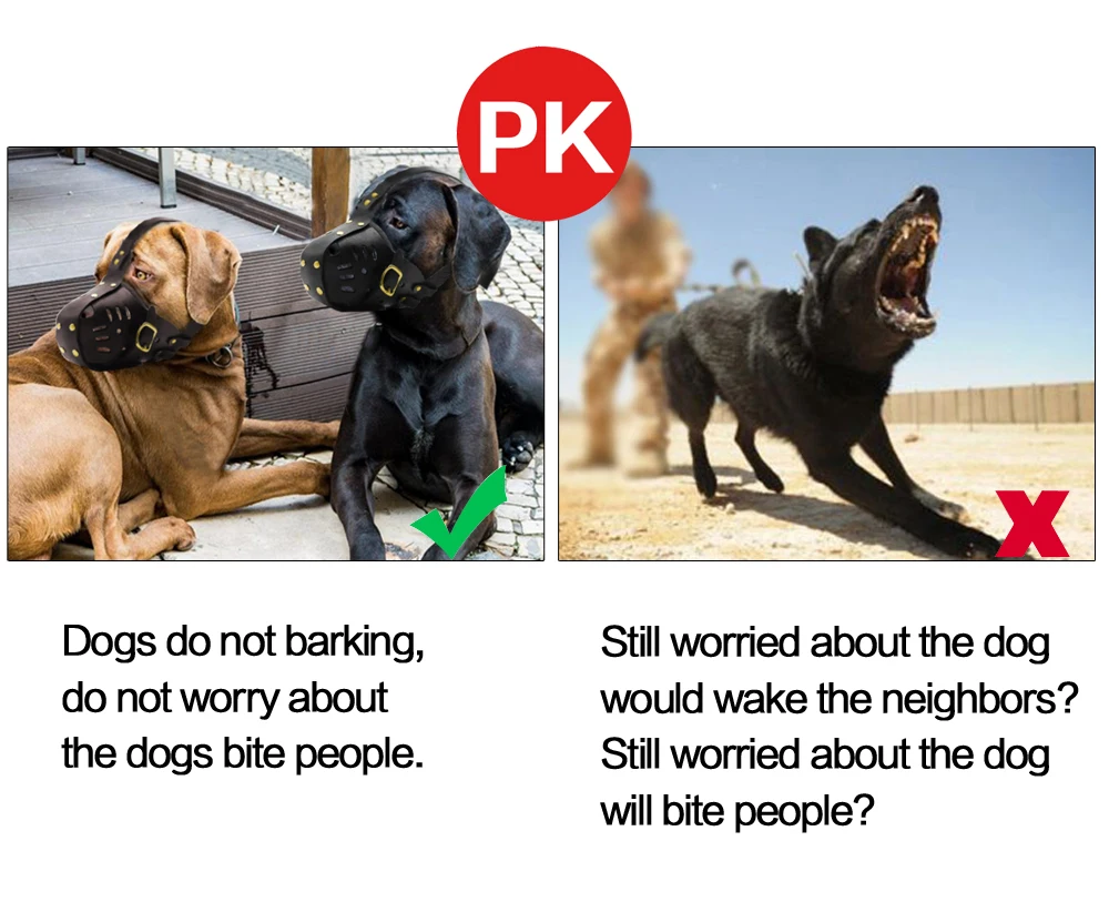 What To Do If A Neighbors Dog Bites You