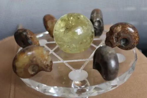

7*NATURAL Conch fossil +citrine Crystal carves skull HEALING