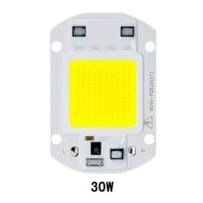 30w 40mmx60mm RAYWAY светодиодный чип COB лампа высокой Мощность 20w 30w 50w 100w IP65 умная ИС(интеграционная схема) подходит для DIY светодиодный прожектор светильник Холодный белый/теплый белый/белый - Испускаемый цвет: 30w 40mmx60mm