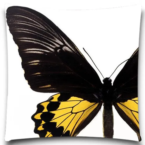 

Green&Black Butterfly specimen Animals Square Cushion cover Case