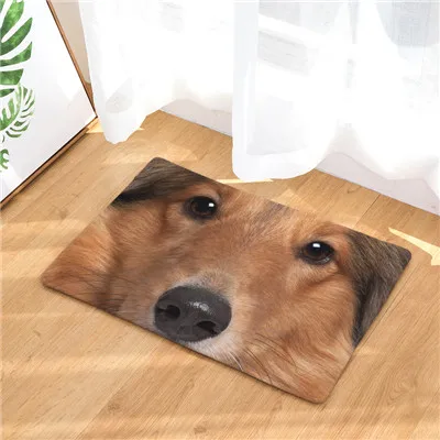 Домашний декор, ковры с принтом собак, Нескользящие кухонные коврики для дома, гостиной, коврики 40X60 см, 50X80 см - Цвет: 19