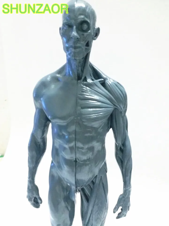 30 см модель человека для Для мужчин PU кожа серый скелета Анатомия череп головы