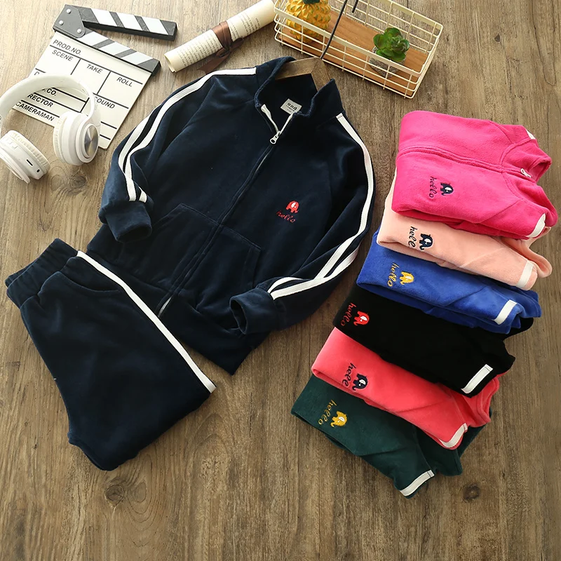 New Style Embroidery Kids Boys and Girls Tracksuits Sportswear fleece jacket Spring Autumn Clothes Children Casual Set 8colors | Детская