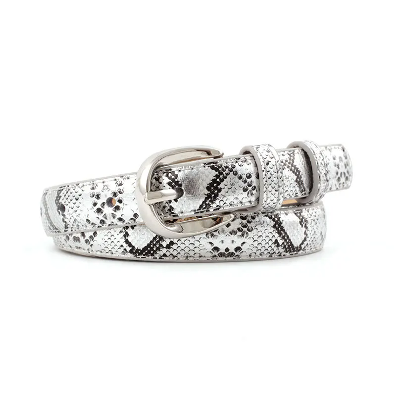 Серебристый 105x1,8 см женский серебряный пояс под змеиную кожу для женщин новые женские бежевые дизайнерские ремни для женского платья riem cinto feminino N267 - Цвет: Серебристый