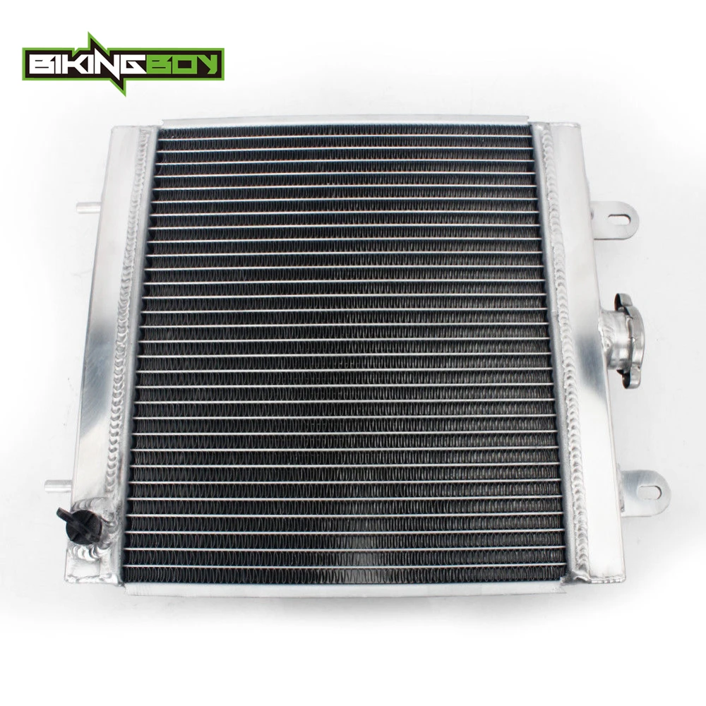 BIKINGBOY для шифратор Polaris INT L2x4 400 скремблер Xplorer 01 02 500 4x4 08 09 двигатель квадроцикла
