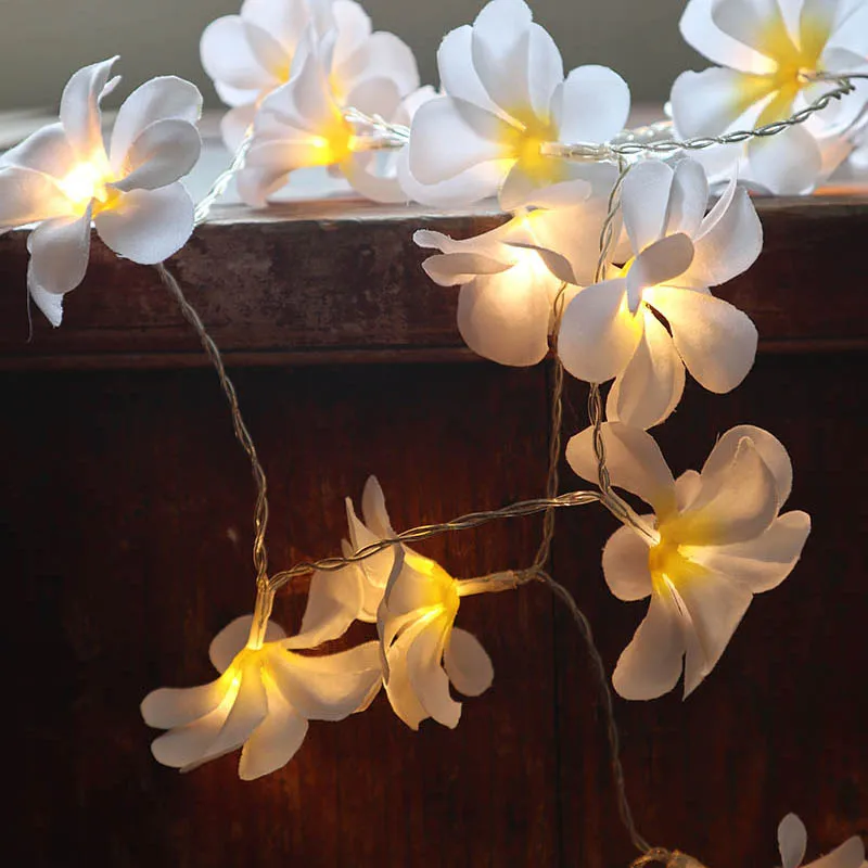 Ручная работа 3 м 20LED гирлянда frangipani с usb-питанием цветочная украшения для