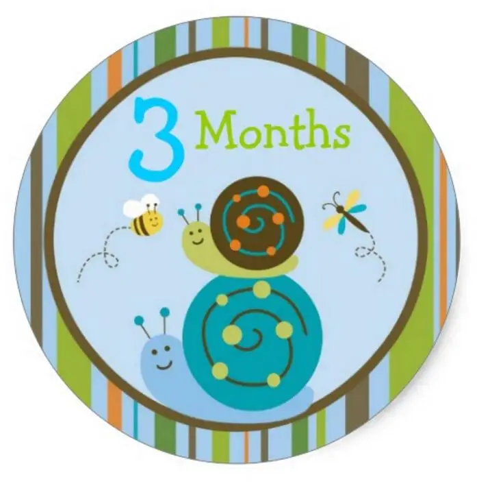 

1.5inch Snail Bee Boy Monthly Milestone Stickers