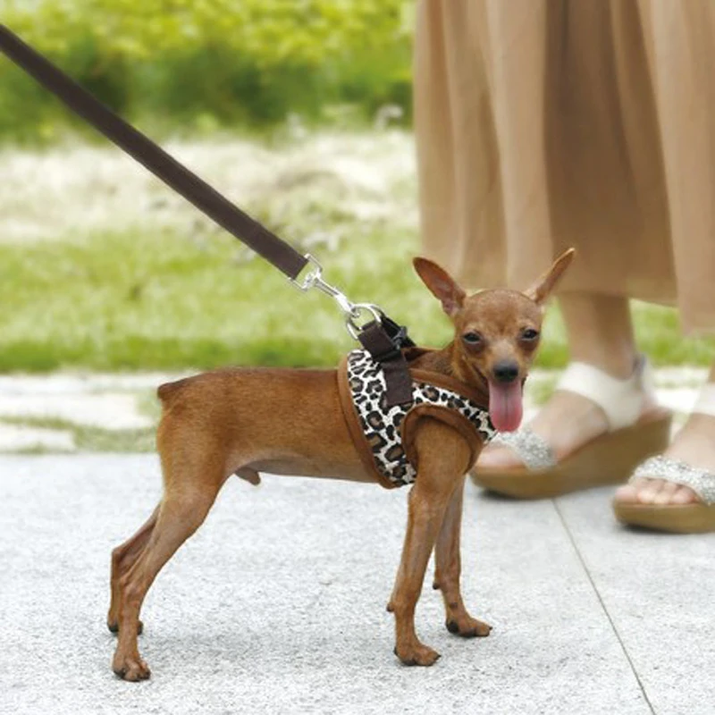 Товары для домашних животных поводки собак маленьких больших тренировочный