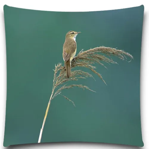 Милая птица на бревне 2D принт креативный наволочка квадратный хлопок полиэстер 5