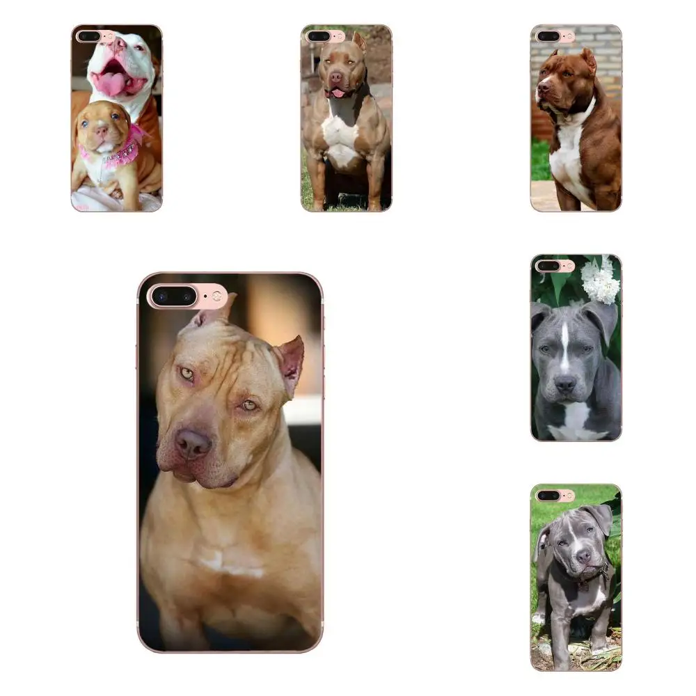 Soft TPU Screen Protector For Xiaomi Redmi Mi Note 7 8 9 SE Pro Lite Go Play Pitbull Dog Puppy | Мобильные телефоны и