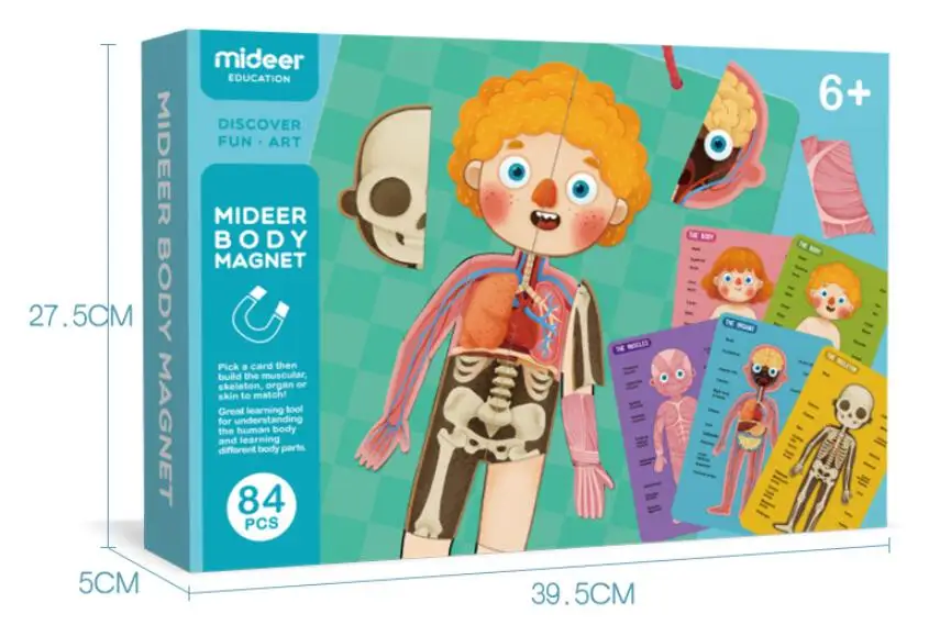 Jigsaw models of human organs Children's body parts cognition Magnetic hanging board English and Chinese instruction card