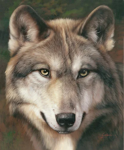 

Quality High Animal Oil Painting Wolf Picture Printed On Canvas Wall Paintings For living Room Office Room Hotel House