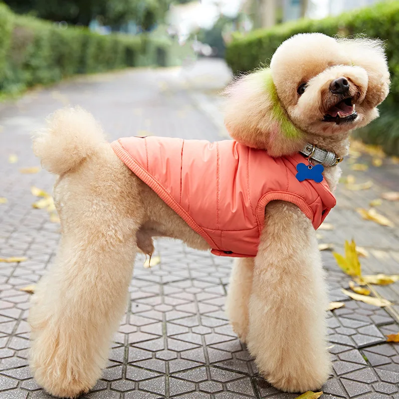 2017 элегантная Корейская хлопковая зимняя одежда для собак теплая удобная
