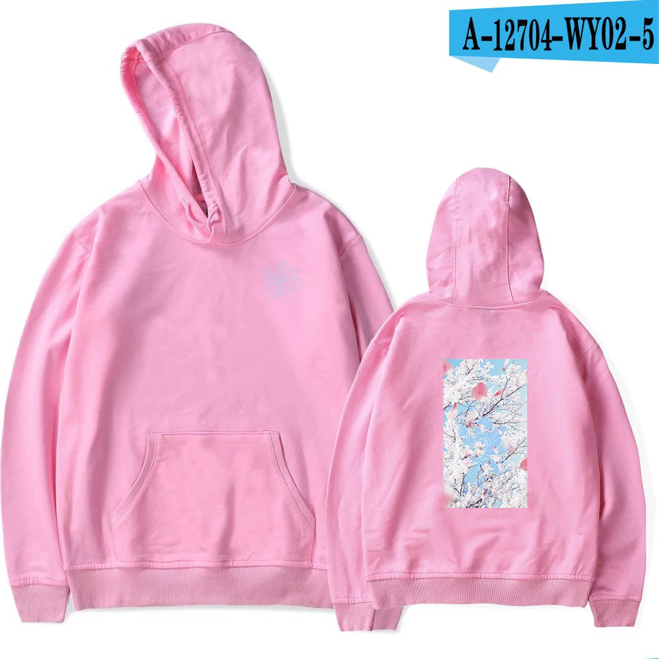 pink Шон Мендес цветок толстовки для женщин мужчин повседневное Весна Sweatshier китайской живописи Harajuku топы корректирующие Kpop негабаритных - Цвет: pink