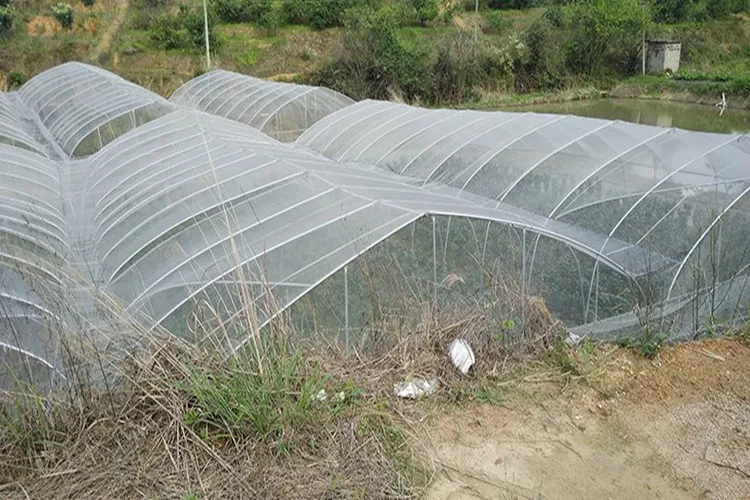 Pest Control For Fruit Tree Greenhouse 40Mesh Insect Netting Garden Vegetables Protection Cockroach Mosquito PE Nylon Net