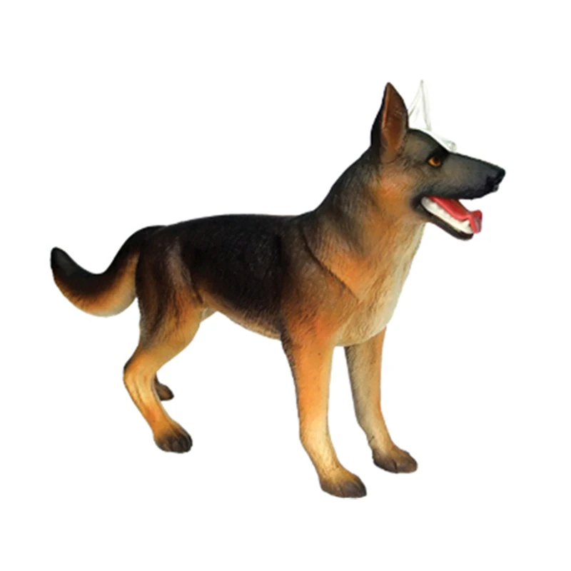 4D собака интеллект сборная игрушка органа животного анатомическая модель