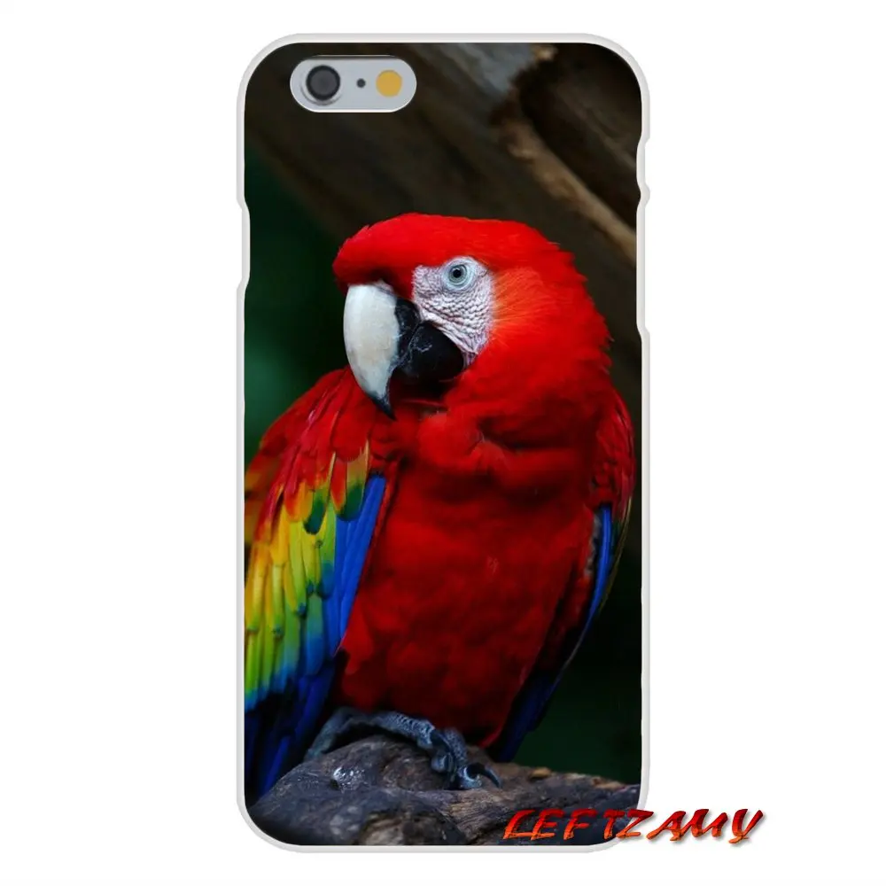 Красочные милые аксессуары в стиле попугая чехлы для телефонов Samsung Galaxy A5 A6S A7 A8 A9S