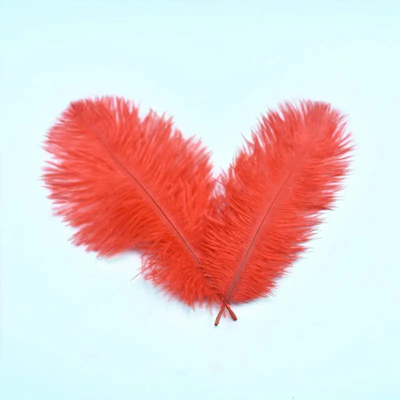 10 шт./лот натуральные разноцветные перышки страуса для поделок 15 20 см черное перо