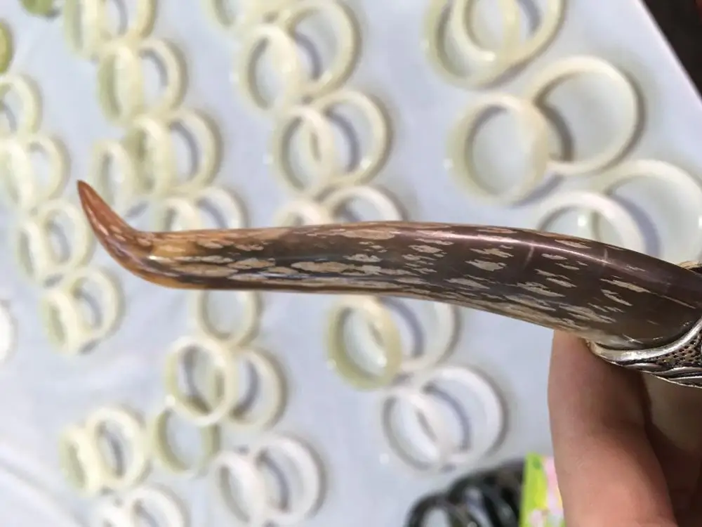 Бесплатная доставка китайский кабан зуб дикий Борг серебряный дракон защитный