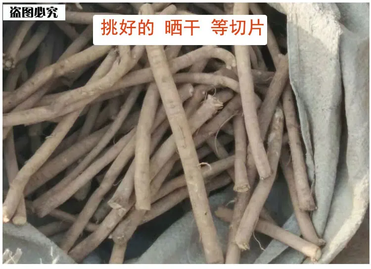 500g высоко качественная осушка корень астрагала Чай Дикий Зеленый Натуральный Astragali традиционные китайские медицинские уход тела кондиционирования