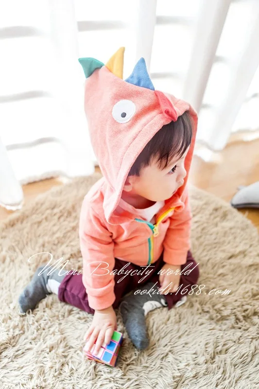 2017 новинка одежда для мальчиков животного с капюшоном на молнии карманов Костюмы