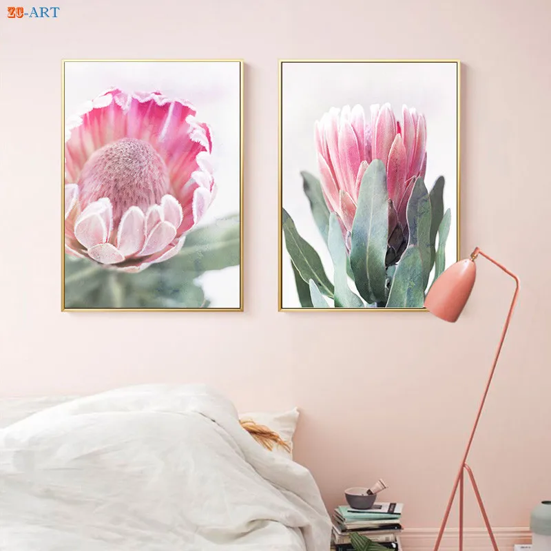 Австралийские постеры и принты родных цветов Protea ботаническая Картина на холсте