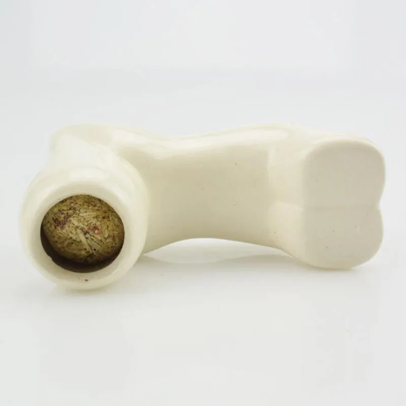 Cat Food Feeder Toy Rye Cat Grass Plant Herb Edible Lemongrass Kitchen Vegetable Bonsai Medicinal Use graines legumes pota