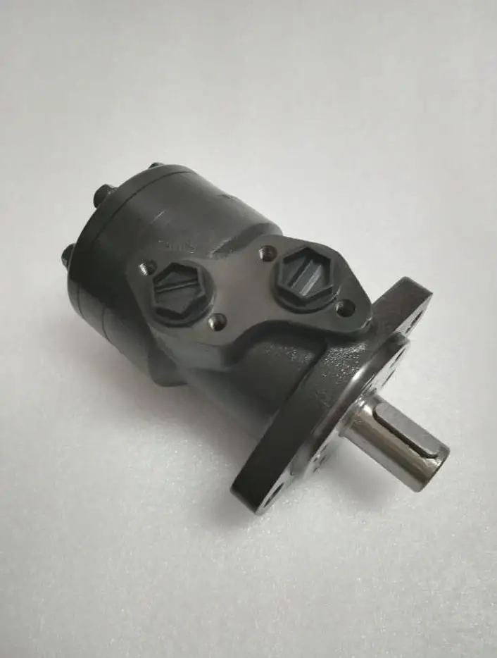 

Hydraulic Components OMR100 1516001 Oil Motor Drive Motor