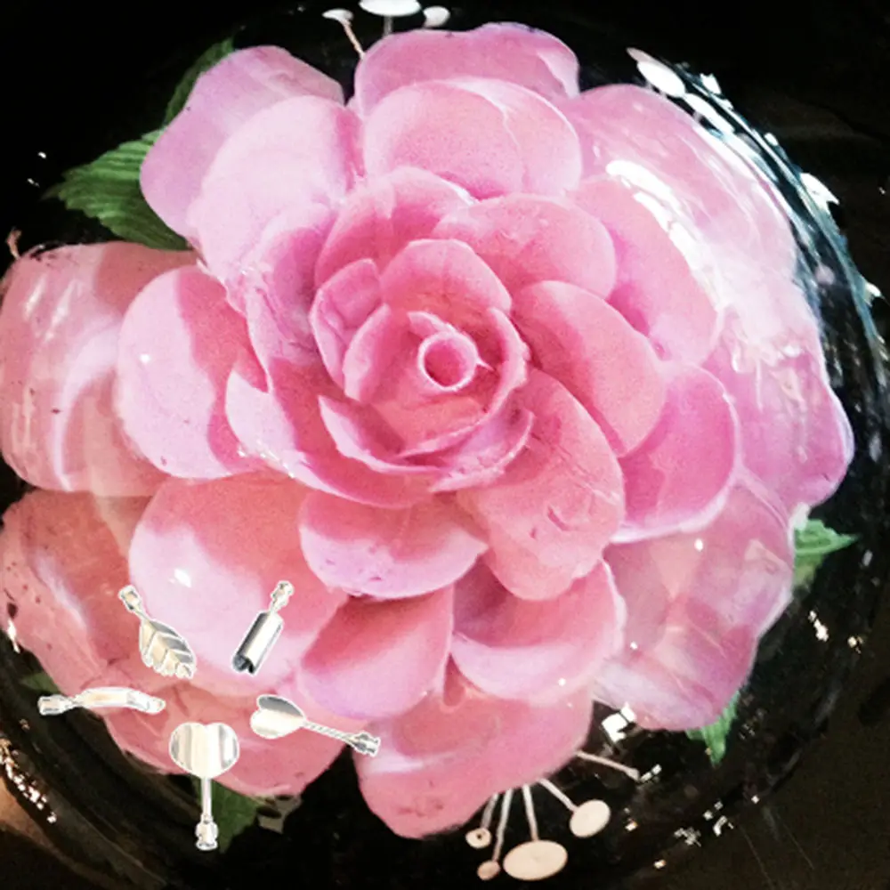 5 шт./компл. цветок 3D Желе арт иглы инструменты торт желатин пудинг сопло|flowers 3d|flower