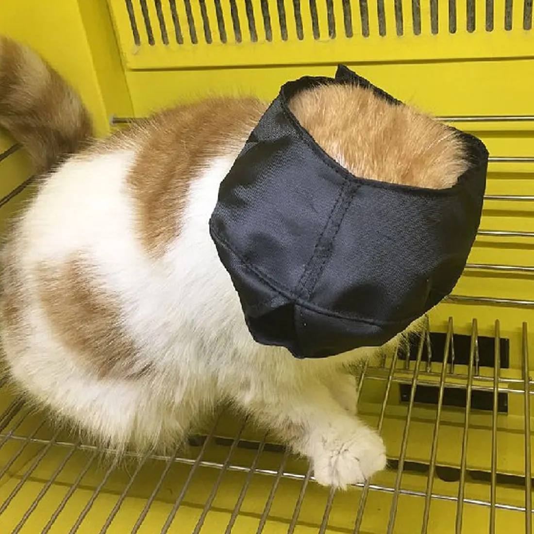 Солнцезащитные очки "кошачий глаз" маска мордочка Кошки Путешествия для ванной Красота Уход за лошадьми зоотоваров анти укус кошки морды маска солнцезащитные очки "кошачий глаз" Защитная крышка